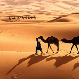 Fotobehang desert walk van Endless Wall